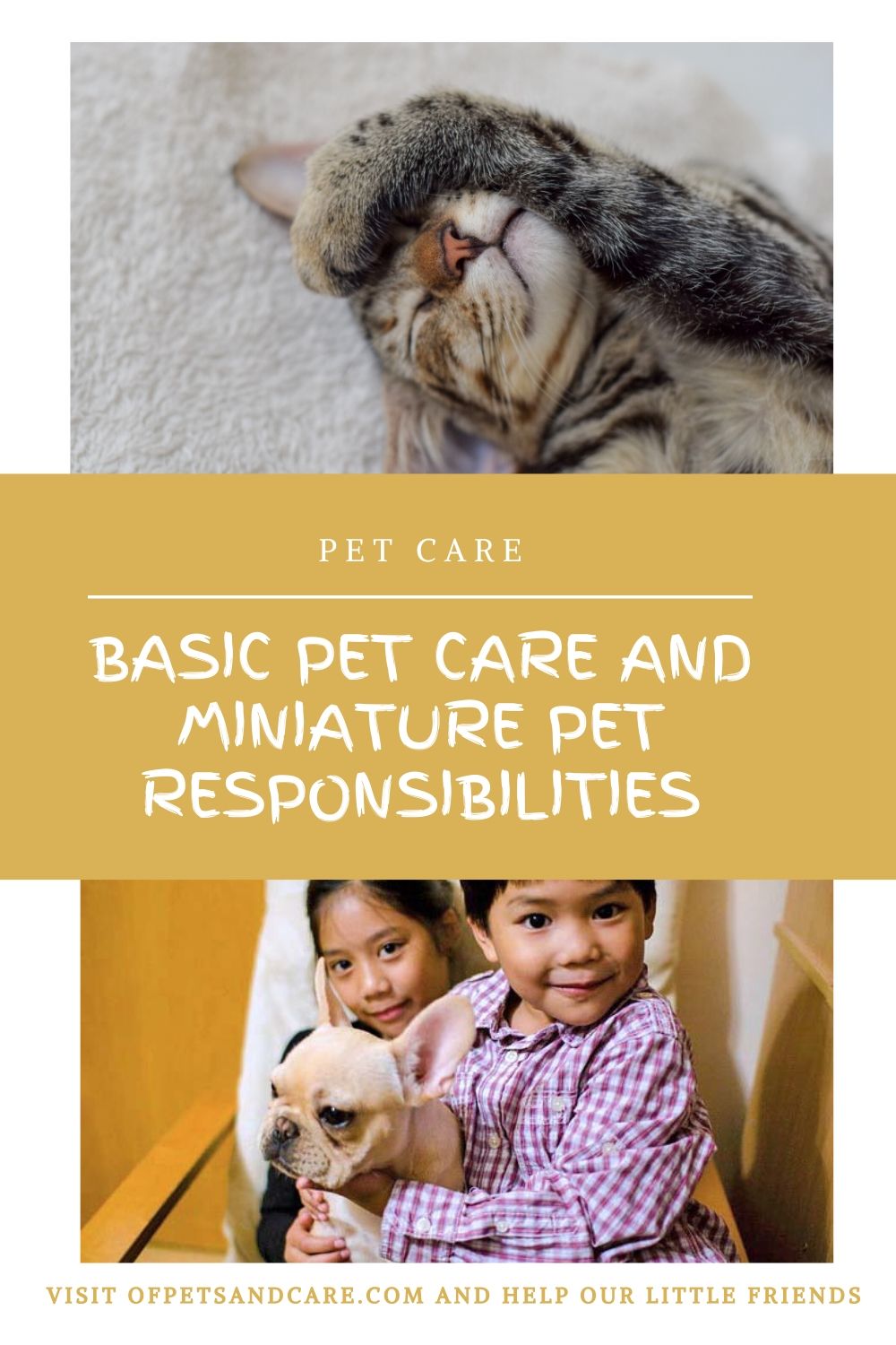 Basic Pet Care and Miniature Pet Responsibilities, kids and pets 